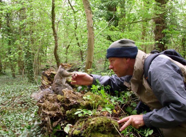 Steve England greeting a grey squirrel in Stoke Park.