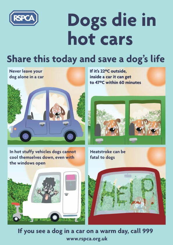 RSPCA Poster  Don't leave dogs in cars