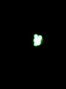Photo of the glow-worm's light