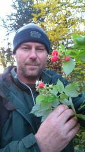 raspberries in December